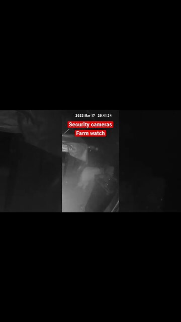 Farm cam: monitoring animals