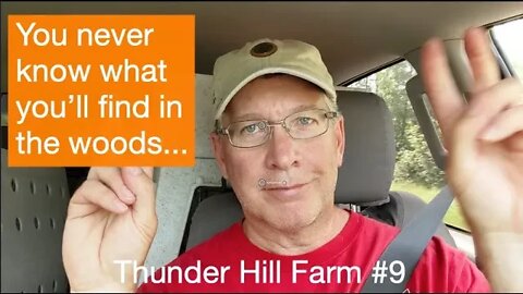 Thunder Hill Farm #9 - You never know what you'll find in the woods.