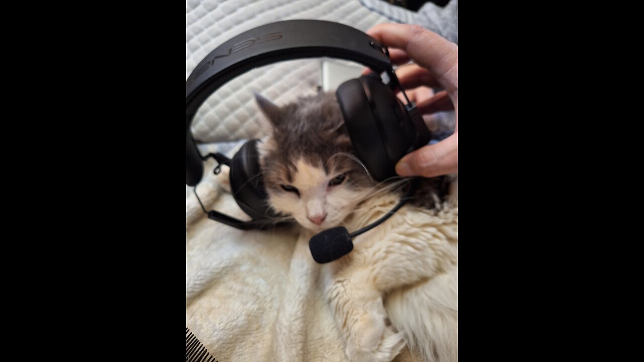 Wednesday live walk and talk!