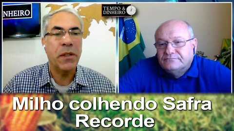 Milho colhendo Safra Recorde