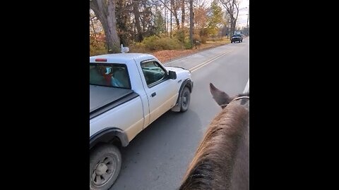 Nash - solo ride in the village - 9 Nov 2024