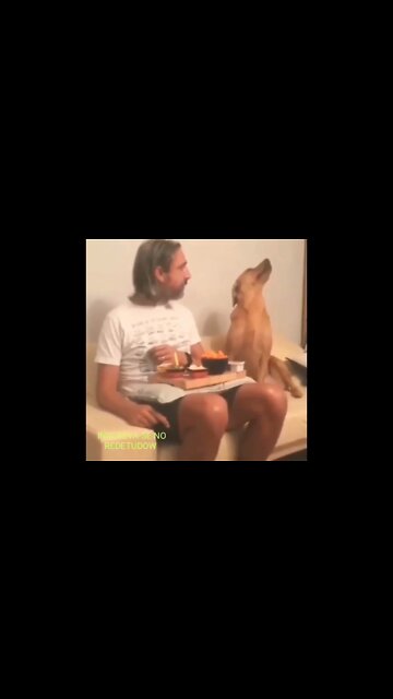 ZAP ZAP: CÃO DISCRETO