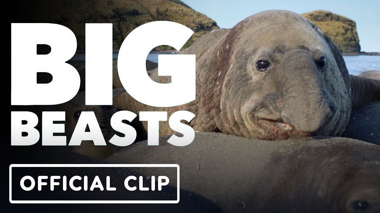 Big Beasts - Official Clip