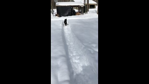 Deep snow