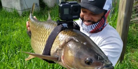 GOPRO ON A FISH!!!