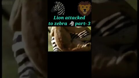 Lion attacked to zebra 🦓 part - 3 #shorts #shortvideo #youtubeshorts