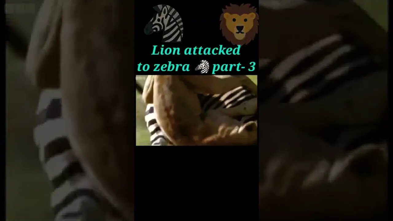 Lion attacked to zebra 🦓 part - 3 #shorts #shortvideo #youtubeshorts