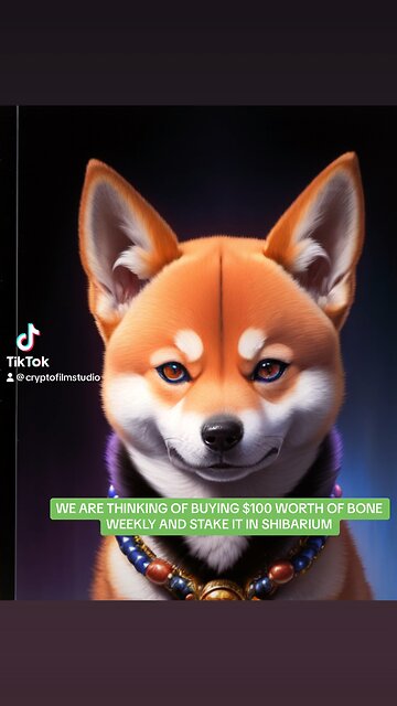 WE ARE THINKING OF BUYING $100 WORTH OF BONE WEEKLY AND STAKE IT IN SHIBARIUM #shibariumblockchain