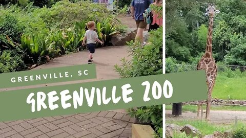 Greenville Zoo South Carolina