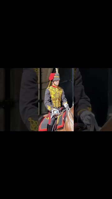 kings troop standing in for the red's and the blues and royals #horseguardsparade