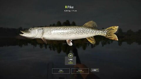 Russian Fishing 4 Volkhov River Pike 4.201 Kg