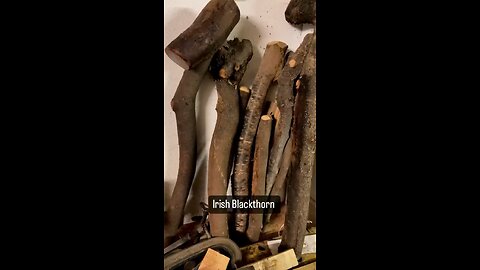 Irish Blackthorn by McCaffreyCrafts