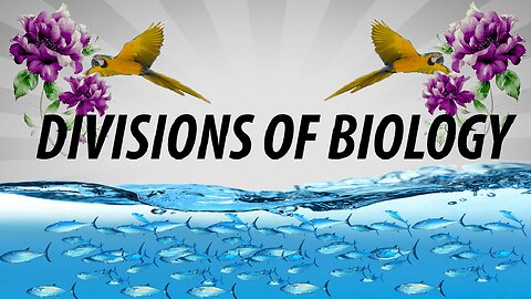 Divisions of biology