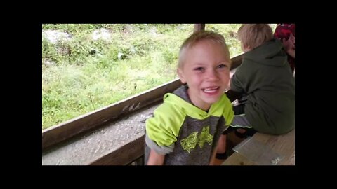 SUMMER WELLS GO MISSING- MOM & DAD BECOME YT ICONS? WTF?