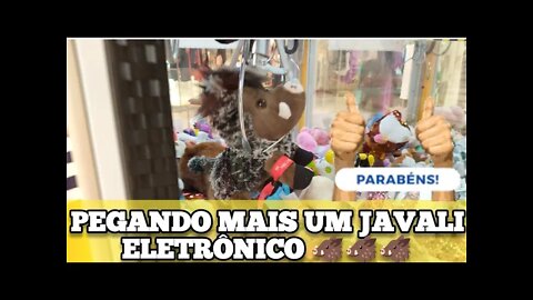 TENTAMOS PEGAR A CAVEIRA MEXICANA, MAS SÓ CONSEGUIMOS PEGAR MAIS UM JAVALI ELETRÔNICO 🐗🐗🐗