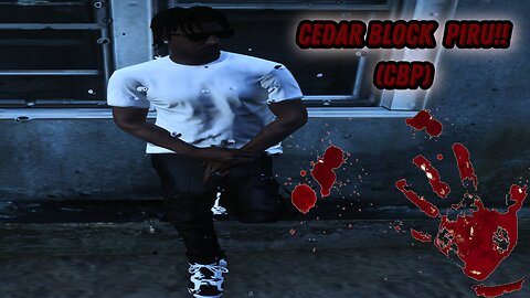 NEW LEAF| RAN INTO CBP AND BANGED IT OUT WITH THEM ON THE STREET. #gtarp #gta #furiousfade #gaming