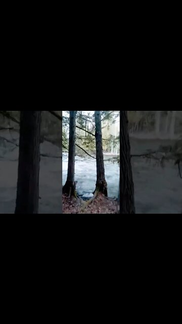 Water level is getting high, she is flowing fast! Yahk Prov. Park , BC
