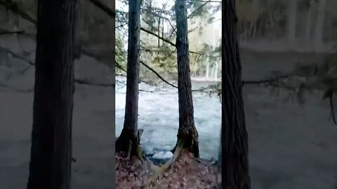 Water level is getting high, she is flowing fast! Yahk Prov. Park , BC