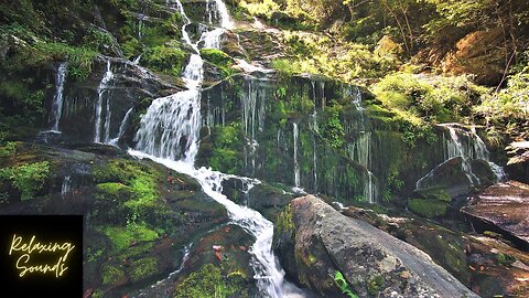 Why Is Relaxing Music, Mediation, Waterfalls So popular Now?