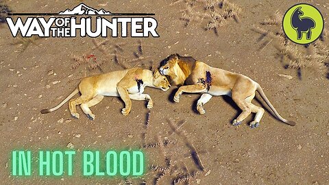 In Hot Blood, Tikamoon Plains | Way of the Hunter (PS5 4K)
