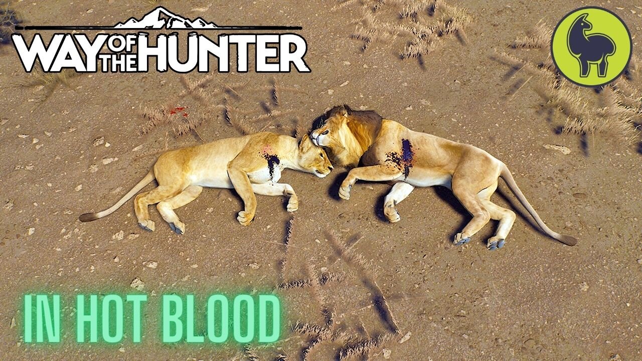 In Hot Blood, Tikamoon Plains | Way of the Hunter (PS5 4K)