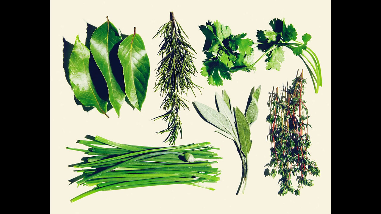This aromatic healer can treat cough