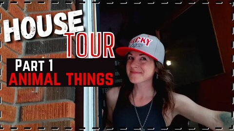 Interesting Animal Things in My House | DIY home improvements to keep pets happy!