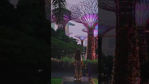Gardens by the Bay is a large tropical park in Singapore known for its futuristic landscapes.