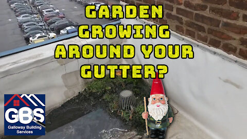 Commercial Roof Flooding-Garden Growing Around Your Gutter