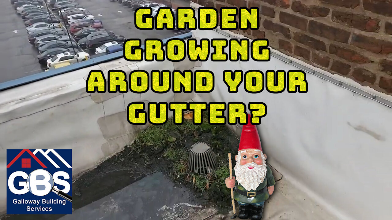 Commercial Roof Flooding-Garden Growing Around Your Gutter