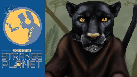 The Ape Cat