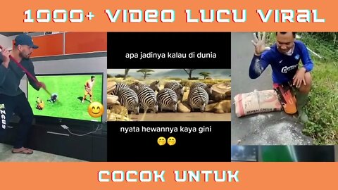 Kumpulan Video Lucu Viral