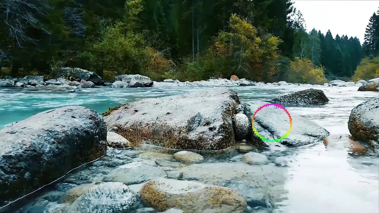 1 hours of Relaxing bird chirping with river sound for sleep , Meditation, Insomnia, Calm and Study
