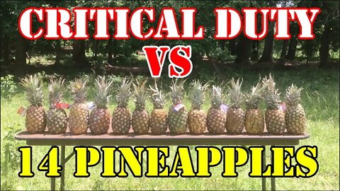 Critical Duty VS 14 Pineapples (In Slow Motion)