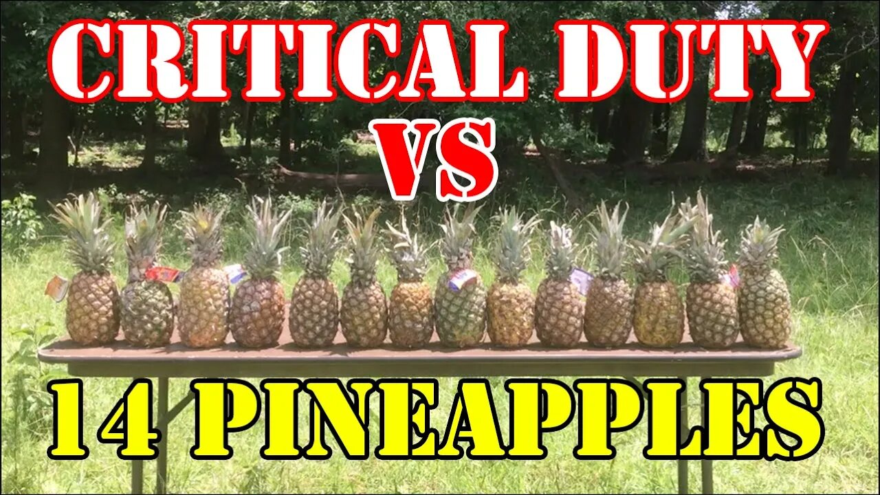 Critical Duty VS 14 Pineapples (In Slow Motion)