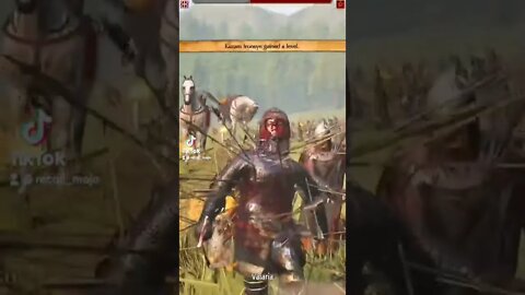 Bannerlord mods that got me 136K followers on my TikTok Gaming videos 3.4 million likes 118M Views