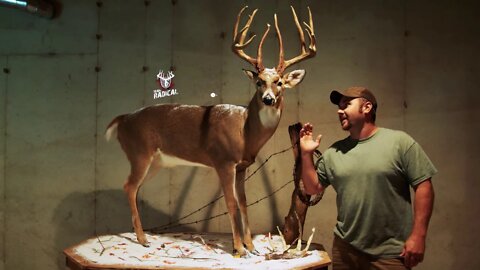 192" Legend Uno - Full Body Deer Mount