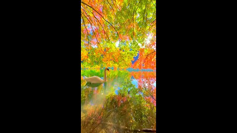 Autumn 2023