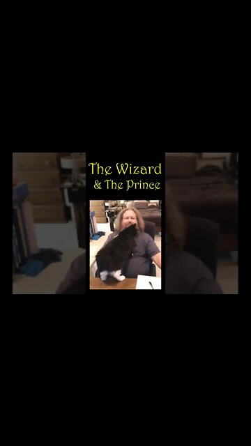 "The Wizard and The Prince" ~ #shorts