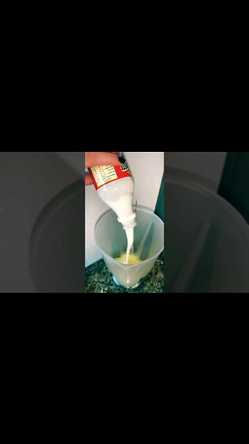 LIMONADA COLOMBIANA 🇨🇴🤤 | Receitas #Shorts