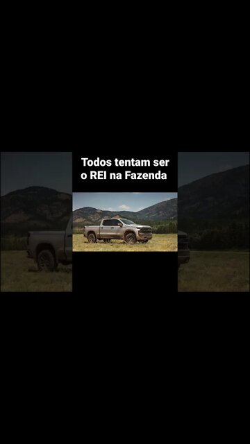 O Verdadeiro Rei da Fazenda