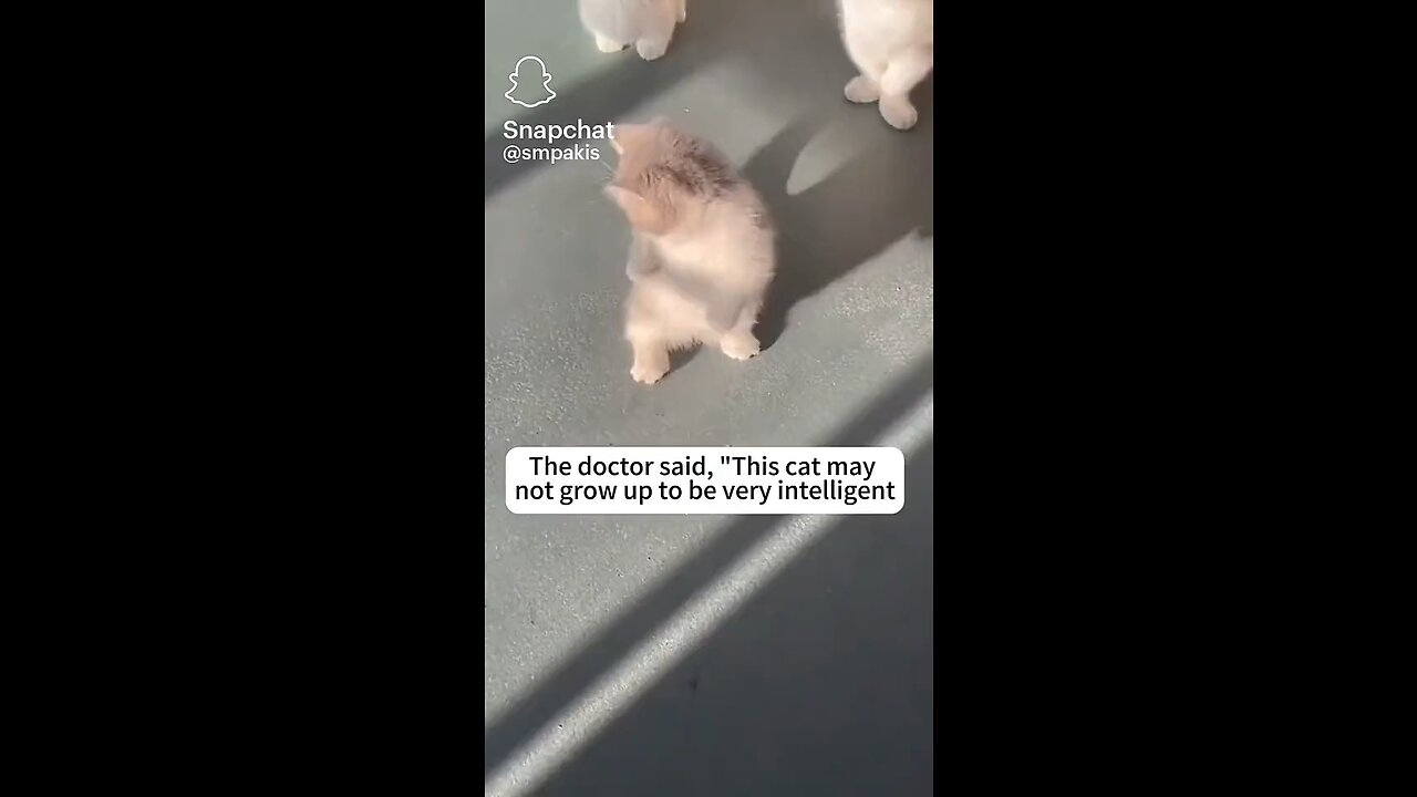 Cute❤️