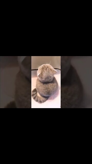 QUANDO A MULHER NÃO SE CONTROLA COM CARTÃO DE CRÉDITO🤣🤣🤣