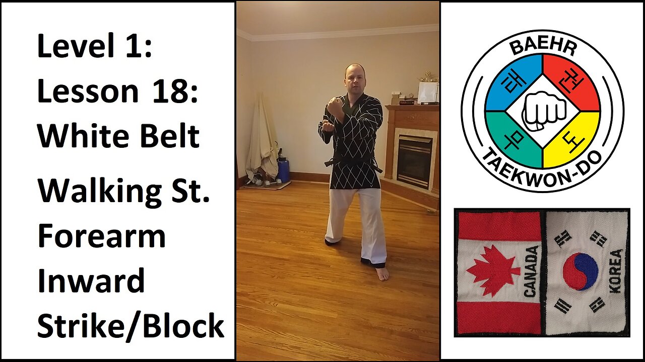 Baehr Taekwondo: 01-18: White Belt: Walking Stance - Forearm Inward Strike Block