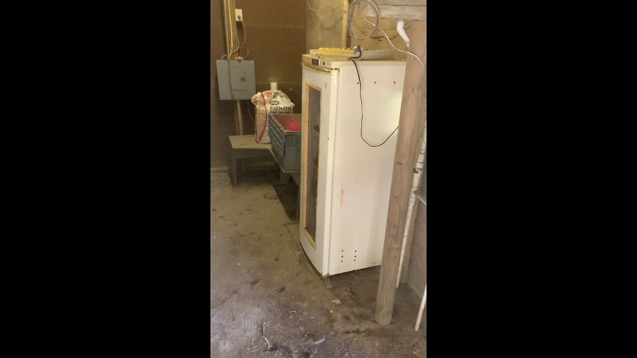 refrigerator incubator