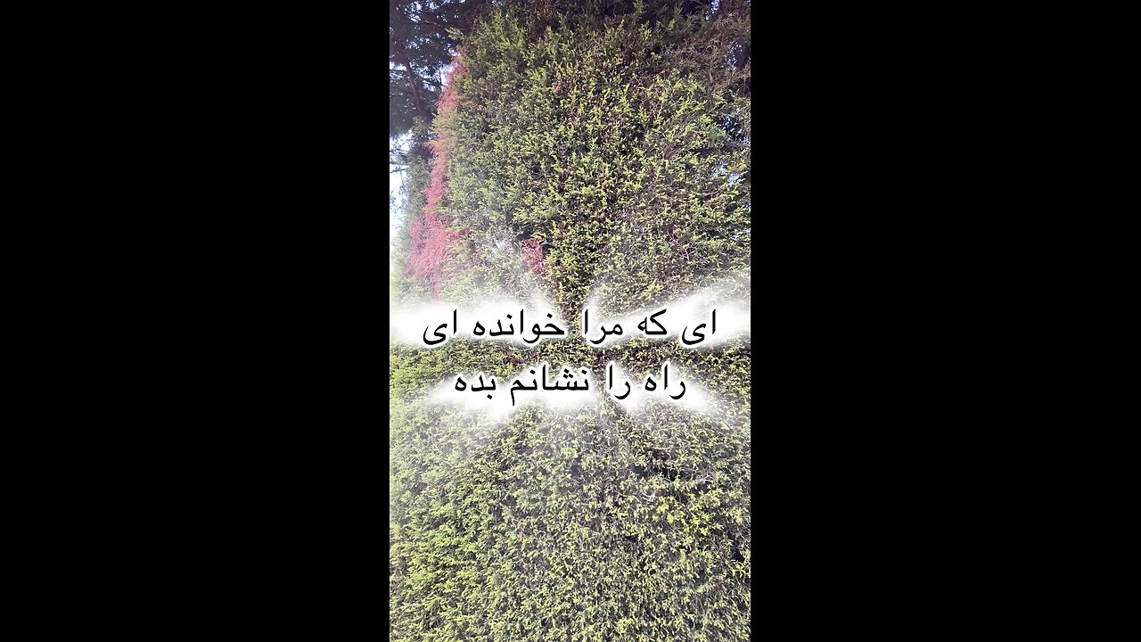 دریافت انرژی از طبیعت