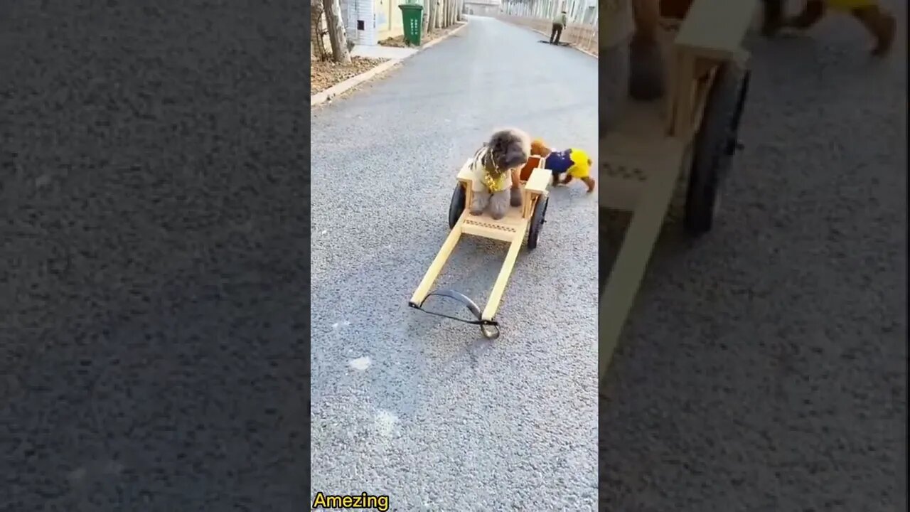 Amezing