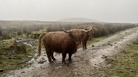 Rab Anderson 41 - Byrehope Mount & Wolf Craigs