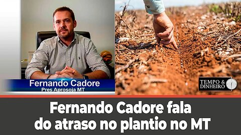 Safra 23/24 no MT-Fernando Cadore fala do atraso no plantio e de quem plantou nas altas temperaturas