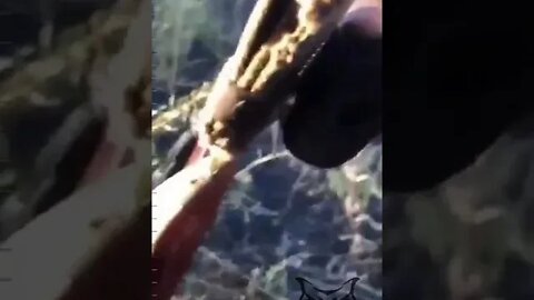 Close combat Video from a subscriber